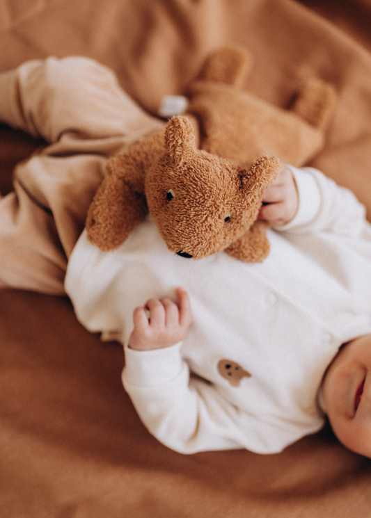 WOOLY ORGANIC - Teddy con semini di cigliegio