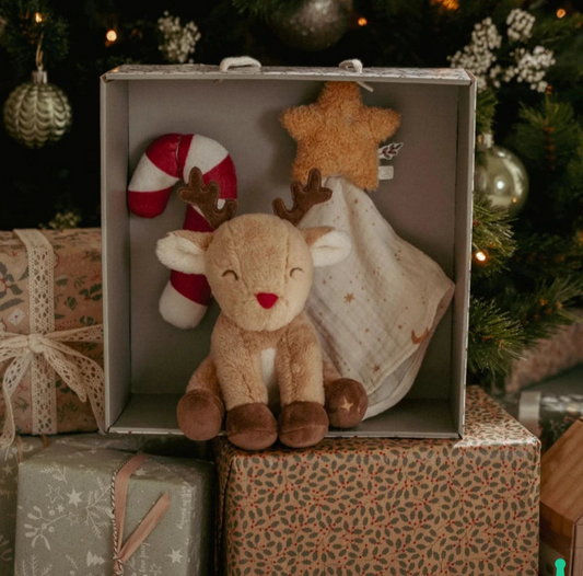 LITTLE DUTCH - Set regalo baby