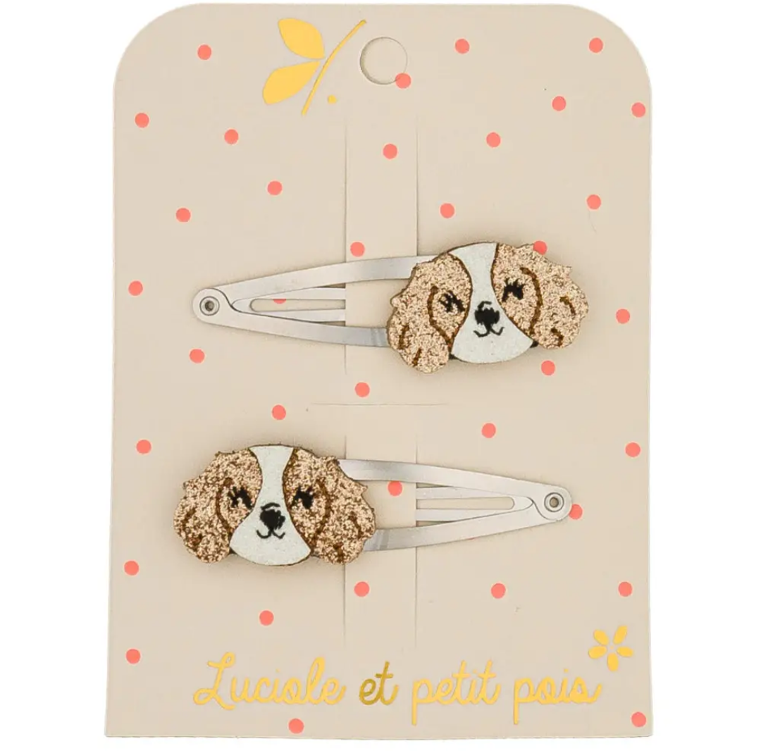 MOLLETTE CAGNOLINI