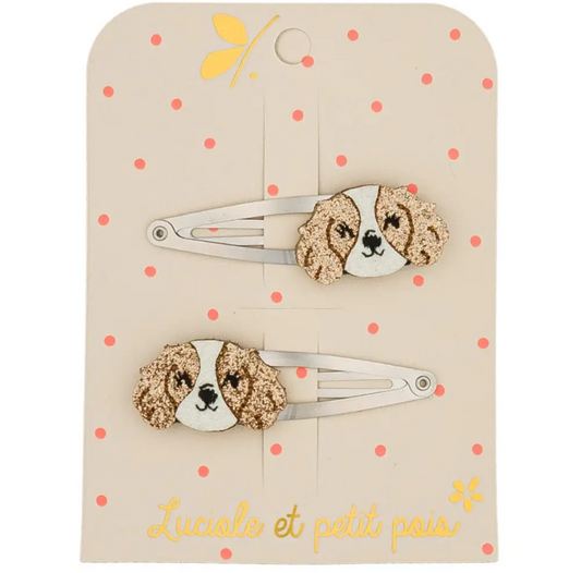 MOLLETTE CAGNOLINI