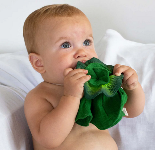 OLI&CAROL - Kendall the Male doudou massaggiagengive