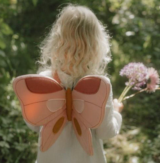LITTLE DUTCH - Ali e bacchetta