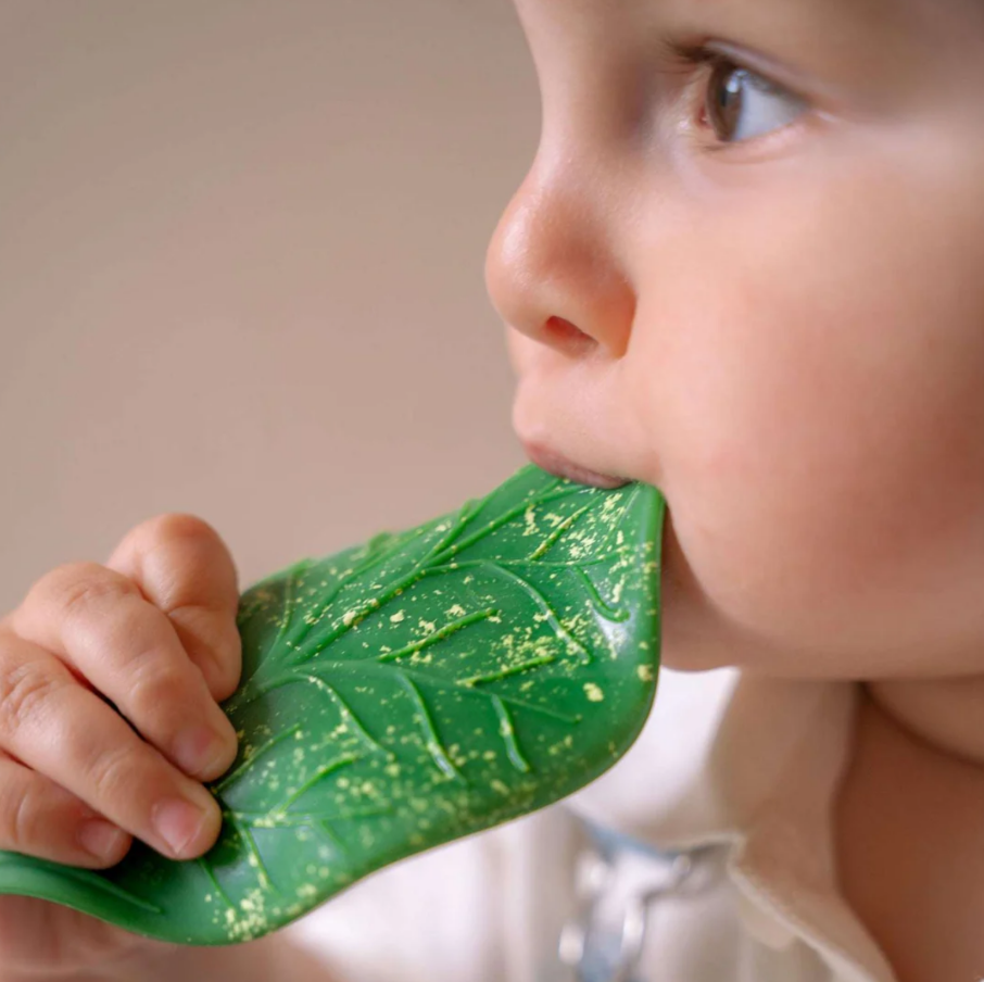 OLI&CAROL - Foglia massaggiagengive